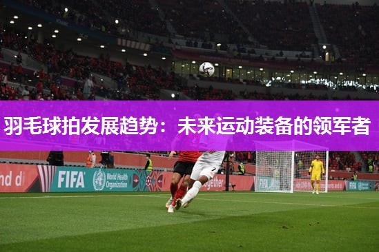 羽毛球拍发展趋势：未来运动装备的领军者