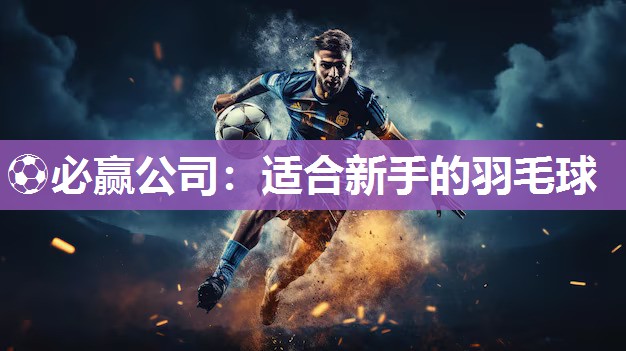 适合新手的羽毛球